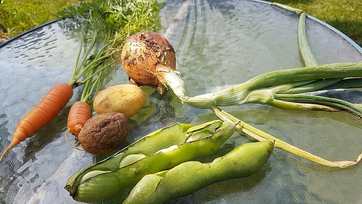 Selbst gezogenes Gemüse zu essen ist gesund und macht glücklich. Foto: Assmann