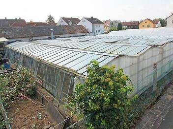 Wo bisher die Gärtnerei war, sollen Häuser entstehen.  Foto: Josef Hofbauer