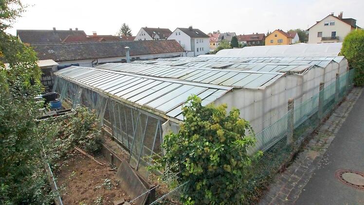 Wo bisher die Gärtnerei war, sollen Häuser entstehen.  Foto: Josef Hofbauer