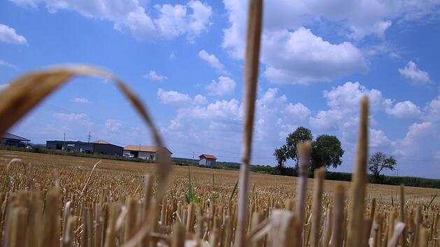 Nutrition Secure Solutions EU GmbH  will sich jetzt in Zeil ansiedeln. Der Stadtrat ist erst einmal nicht dagegen.Andi L&ouml;sch
