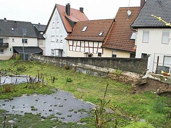 In Absprache mit den Nachbarn soll eine Planung für das Gelände der ehemaligen Gärtnerei Keupp in Eltmann erstellt werden. Hier könnten Wohnungen, aber auch Parkplätze entstehen. Der städtische Bauausschuss befasste sich mit dem Projekt.  Foto: Sabine Weinbeer