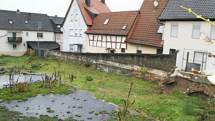 In Absprache mit den Nachbarn soll eine Planung für das Gelände der ehemaligen Gärtnerei Keupp in Eltmann erstellt werden. Hier könnten Wohnungen, aber auch Parkplätze entstehen. Der städtische Bauausschuss befasste sich mit dem Projekt.  Foto: Sabine Weinbeer