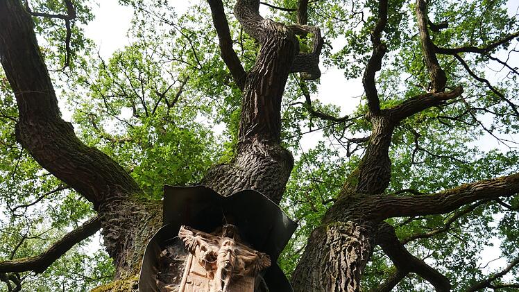 Naturdenkmal bei Aschach.Heike Beudert