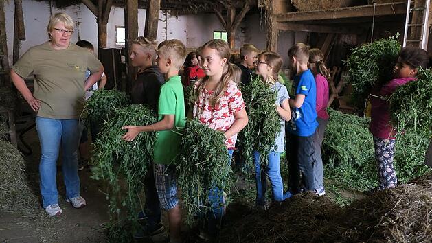 Grundsch&uuml;ler besuchen Bauernhof