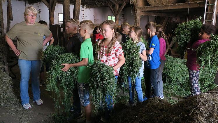 Grundschüler besuchen Bauernhof
