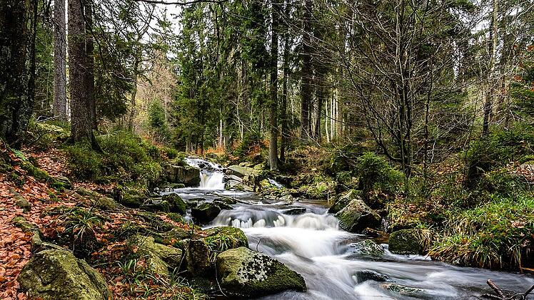 Der Harz bietet sich zu allen Jahreszeiten für einen Urlaub oder Kurztrip an.