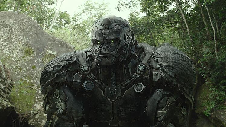 In "Transformers: Aufstieg der Bestien" treffen Autobots und Maximals - unter der F&uuml;hrung von Optimus Primal (Bild) - auf b&ouml;se Terrorcons und Predacons. Nur gemeinsam k&ouml;nnen sie ihre Gegner besiegen.