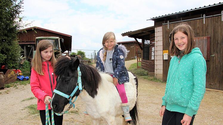 Miri, Emilia und Franzi lieben das Pony namens Hexe. Für die Mädchen lässt Jessica Sebald sozusagen Immenhof-Träume wahr werden. Diana Fuchs