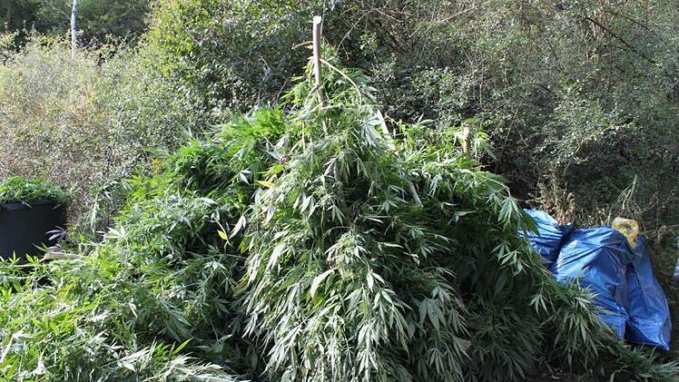 Warten auf die Entsorgung.