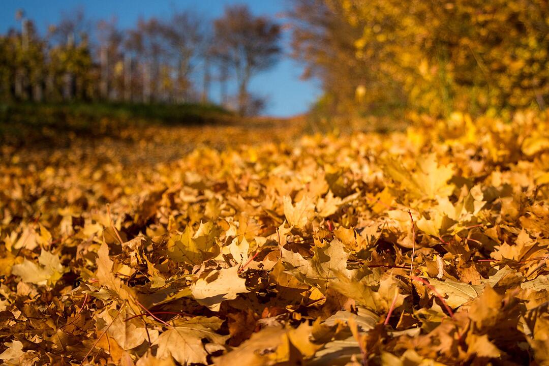 Fotos Konrad Thomann