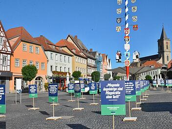 Eine stille Demo mit 40 textlich gestalteten Tafeln am Marktplatz in Bad Neustadt. Sie appellieren an die Verantwortlichen, die häusliche Pflege und die Pflegekräfte nicht zu vergessen. Foto: Hanns Friedrich