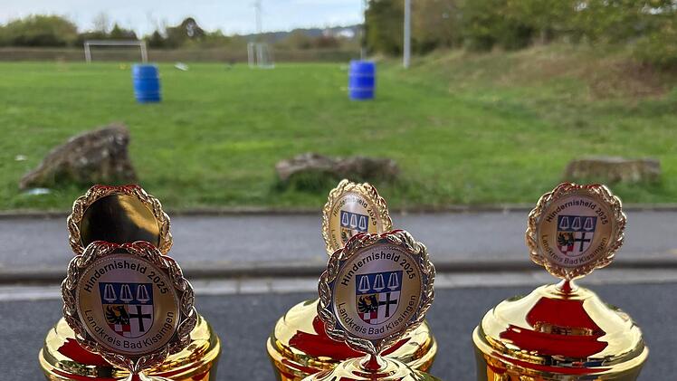 Die Pokale gab es am Ende f&uuml;r die Sieger.