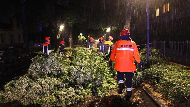 Foto: News5/Grundmann