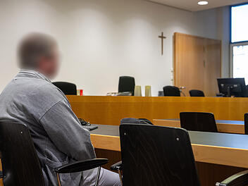 Prozess gegen einen Baumkontrolleur