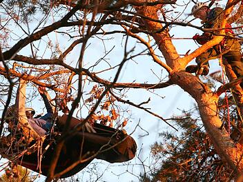 Ein mit Steigeisen in die Baumkrone gekletterter Helfer der Bergwacht Bamberg befreit den in luftiger Höhe gestrandeten Gleitschirmflieger aus seiner Notlage. Fotos: Stefan Johannes