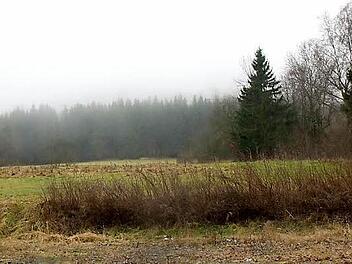 Das Gebiet oberhalb von Oberwildflecken soll als Kernzone ausgewiesen werden, der Landkreis würde die Fläche vom Bund kaufen, der Wildfleckener Gemeinderat stellt sich trotzdem quer. Foto: Ruppert