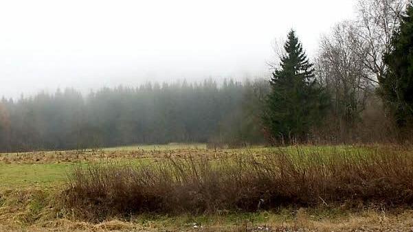 Das Gebiet oberhalb von Oberwildflecken soll als Kernzone ausgewiesen werden, der Landkreis würde die Fläche vom Bund kaufen, der Wildfleckener Gemeinderat stellt sich trotzdem quer. Foto: Ruppert