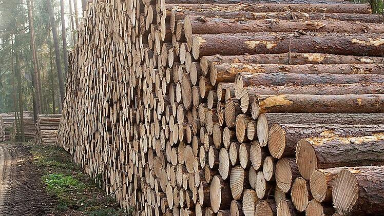 Riesige Holzpolter sind mittlerweile ein vertrautes Bild an den Waldrändern. Derzeit herrscht ein Überangebot. Foto: Jürgen Valentin