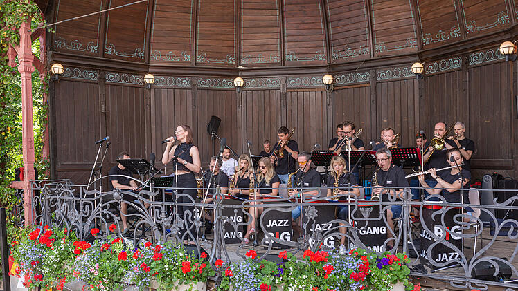 Hof: Deutsche und tschechische Bands zusammenbringen - Jazzfrühling findet im Musikpavillon statt