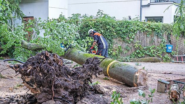 Im Wilde-Rose-Keller war am Samstagabend gegen 21 Uhr ein Baum umgest&uuml;rzt und auf ein Haus gekracht.