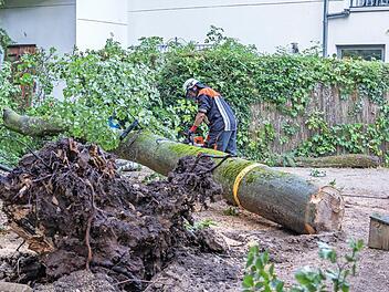 Im Wilde-Rose-Keller war am Samstagabend gegen 21 Uhr ein Baum umgestürzt und auf ein Haus gekracht.