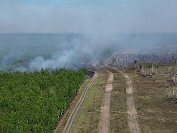 Waldbrand auf munitionsbelastetem Gel&auml;nde bei J&uuml;terbog