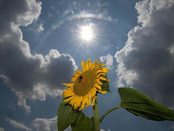 Symbolbild Sonne Foto: Sebastian Kahnert/dpa