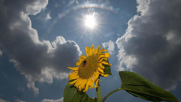 Symbolbild Sonne Foto: Sebastian Kahnert/dpa