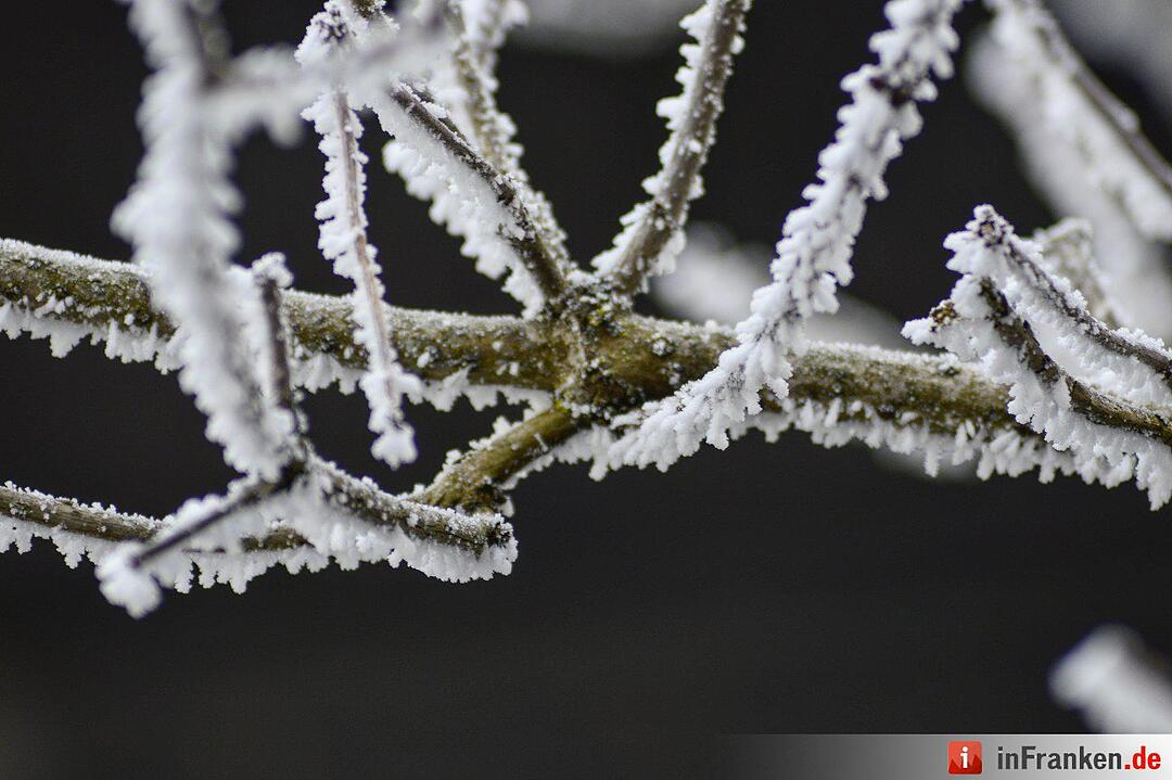 Eis und Schnee in Franken - die schönsten Winterleserfotos