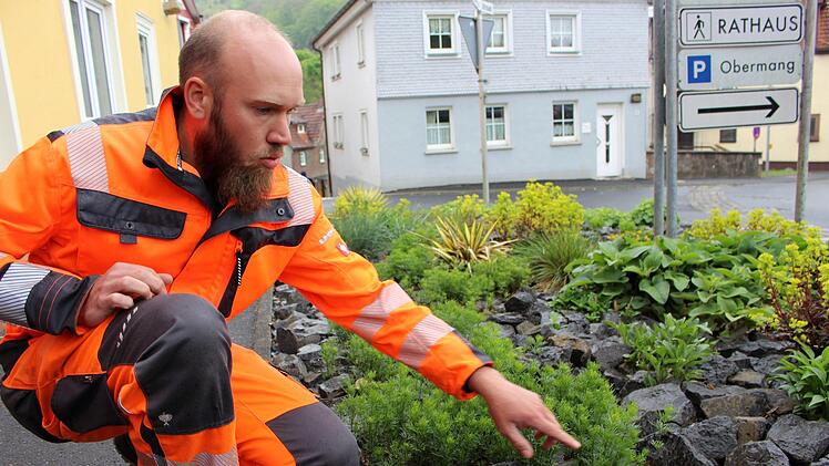 Stadtgärtner Peter Martin zeigt ein Schotterbeet mit Staudenbepflanzung in der Fuldaer Straße. Foto: Julia Raab