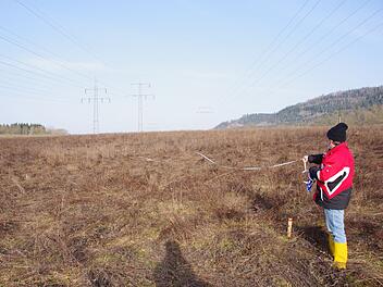 Friesen: Arch&auml;ologen machen &uuml;berraschende Entdeckung - 30 Jahre nach Ausgrabung