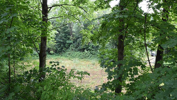 Der freie Platz hinter den Bäumen soll für Kultur genutzt werden. Ein Amphitheater ist angedacht.