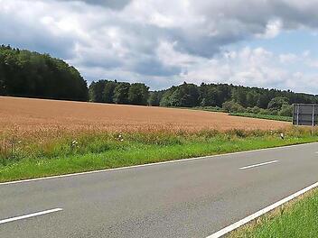 Auf diesem Getreidefeld von Gemeinderat Hermann Frieser in der Nähe von Neudorf soll der Solarpark Neudorf entstehen.