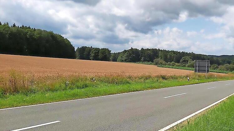 Auf diesem Getreidefeld von Gemeinderat Hermann Frieser in der Nähe von Neudorf soll der Solarpark Neudorf entstehen.