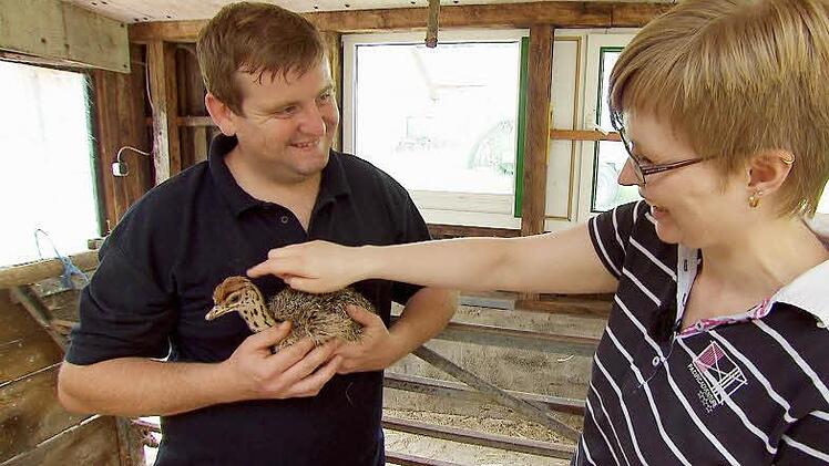 Bauer Sebastian zeigt Ines seine Straußenküken. Welche Frau kann da widerstehen? Foto: RTL Alle Infos zu "Bauer sucht Frau" im Special bei RTL.de: www.rtl.de/cms/sendungen/bauer-sucht-frau.html