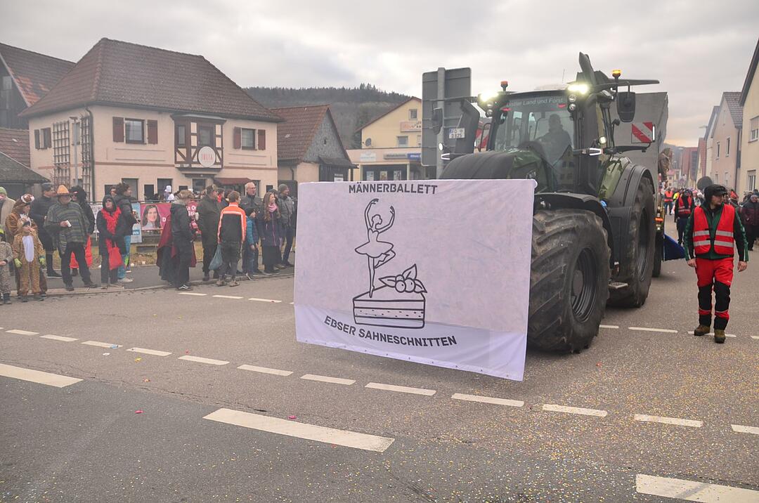Ebermannstadt feiert Fasching!