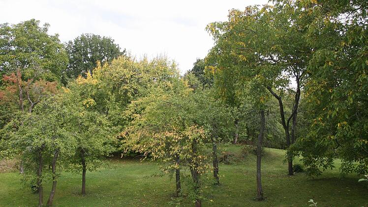 Die hügelige Landschaft erzählt Geschichte: Auf der kleinen Anhebung inmitten der Obstbäume stand früher wohl ein Turm - denn auch wenn diese keine verteidigungsstrategische Bedeutung hatte, gehörte ein Turm zu einem Ritterschloss dazu.