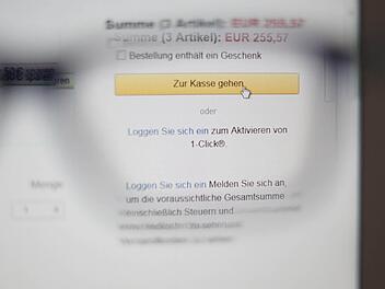 Immer und immer wieder bestellte die Angeklagte im Internet: Kleidung, Kosmetika ... Die Rechnungen liefen alle auf den Namen des Angeklagten. Das bemerkte dieser aber erst sehr spät. Symbolfoto: Sarah Dann