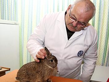 Rainer Sonderhaus prüft den Körperbau des Kaninchens. Foto: R. Sänger
