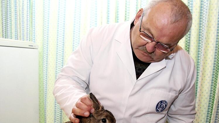 Rainer Sonderhaus prüft den Körperbau des Kaninchens. Foto: R. Sänger