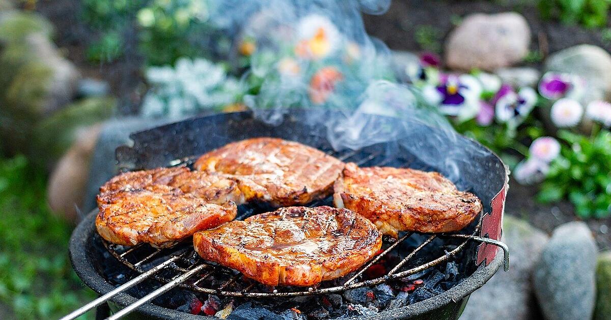 Rin & Rut Grillbürste Doppelbürste - Extra Lange Edelstahlborsten Mit Hitzeschutzgriff