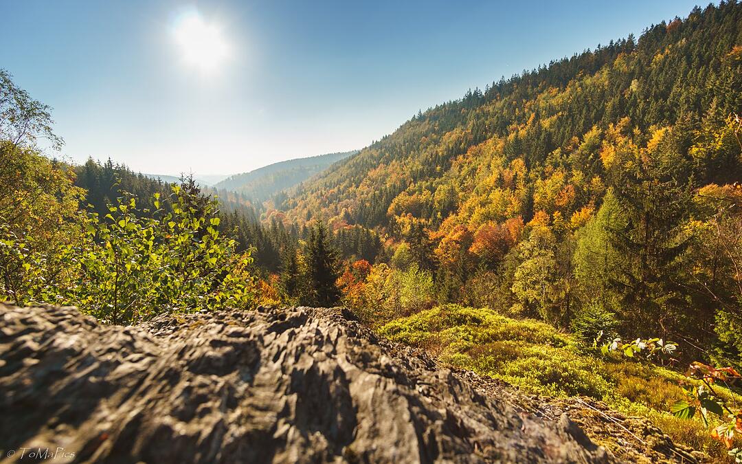 Die schönsten Herbstfotos aus Kronach und Umgebung