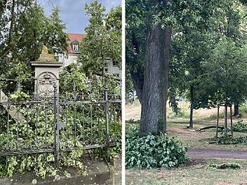 Bamberg: Heftiges Gewitter hinterlässt "Spur der Verwüstung" - Stadt warnt Bevölkerung