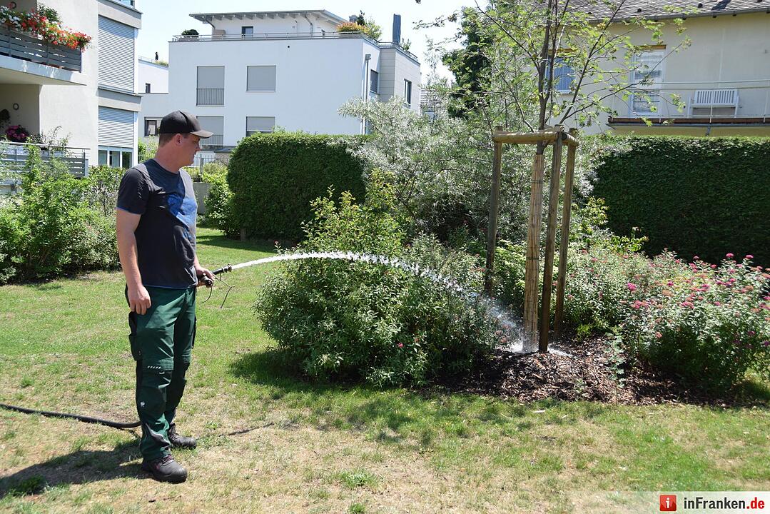 So genießt Franken den Sommer