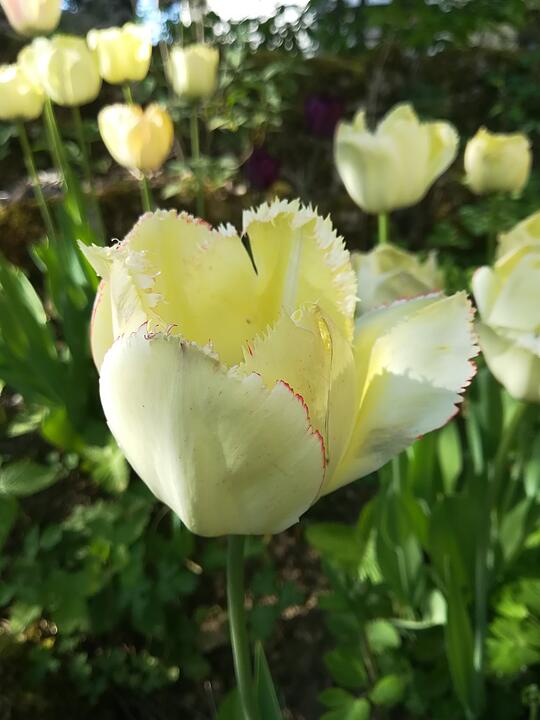 Die schönsten Fotos im April aus Bayreuth und Umgebung