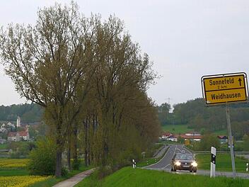 Die großen Pappeln der Allee zwischen Sonnefeld und Weidhausen müssen gefällt werden - einige schon bald, der Rest spätestens in ein paar Jahren. Foto: Berthold Köhler