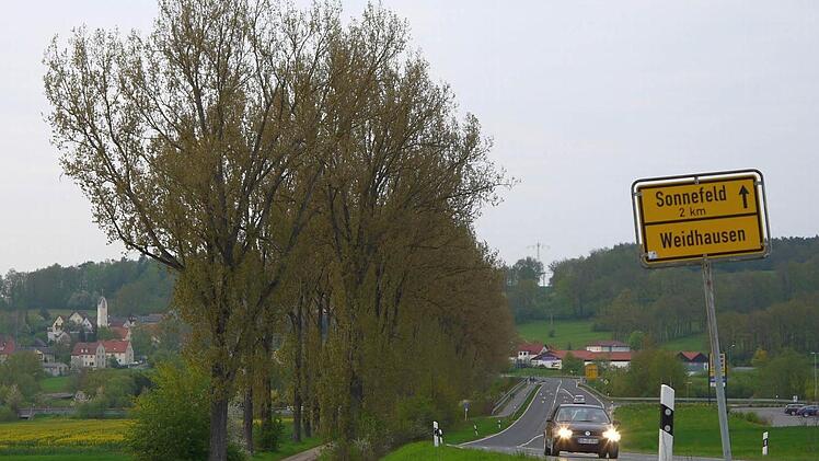 Die großen Pappeln der Allee zwischen Sonnefeld und Weidhausen müssen gefällt werden - einige schon bald, der Rest spätestens in ein paar Jahren. Foto: Berthold Köhler