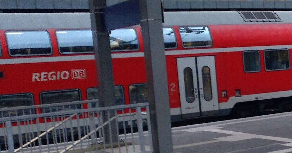 Ticket inspector dies after passenger attack - | new details revealed