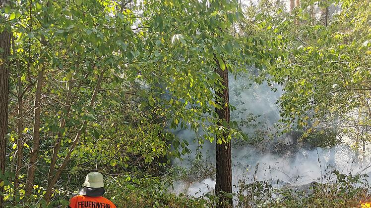 Waldbrand ruft Feuerwehr auf den Plan