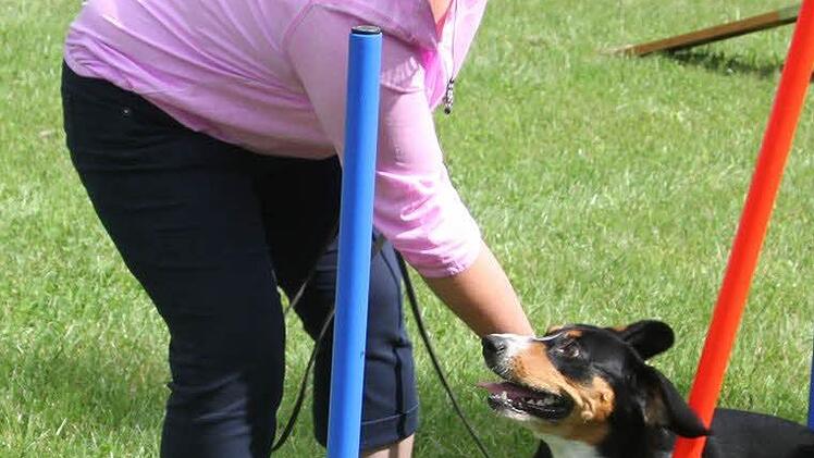 Der absolute Superstar im Parcours: Franzi schnitt die Slalomstangen mit Super-Tempo wie ein Profi.